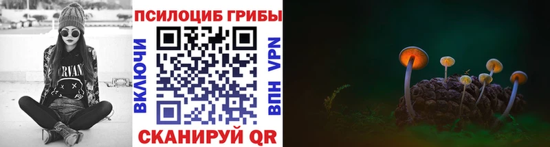 Псилоцибиновые грибы Cubensis  где найти   Кубинка 