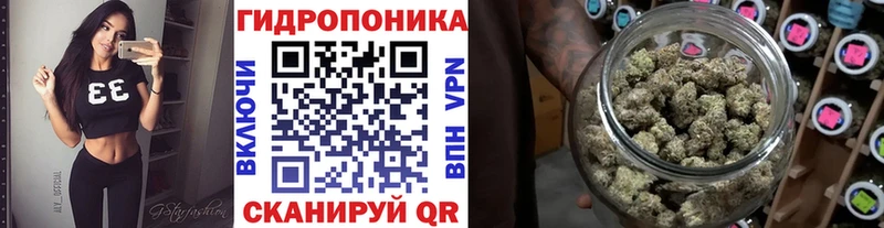 Канабис OG Kush Кубинка